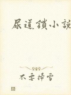 尿道锁小说