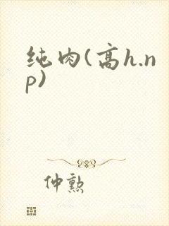 纯肉(高h.np)