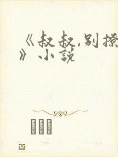 《叔叔,别撩我》小说