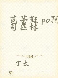 芭蕾鞋 po阿司匹林