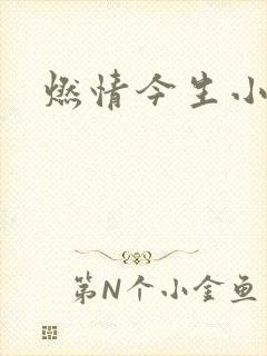 燃情今生小说