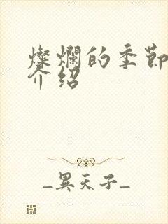 灿烂的季节剧情介绍