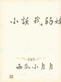 小说 我的娇妻