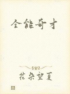 全能奇才封面