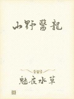 山野医龙