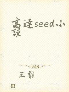 高达seed小说封面