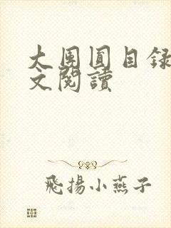大团圆目录及全文阅读封面