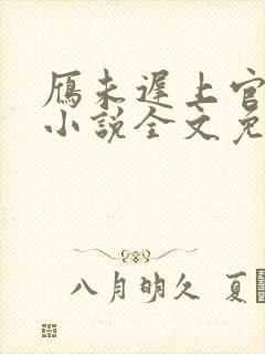 雁未迟上官穿越小说全文免费阅读
