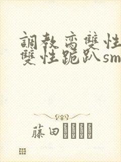 调教脔双性美人双性跪趴sm封面