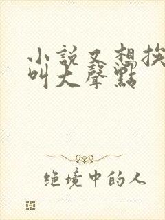 小说又想挨C了叫大声点封面