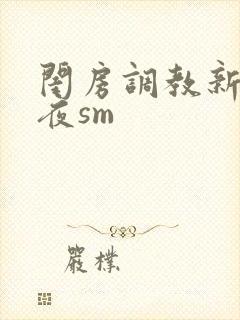 闺房调教新婚之夜sm封面