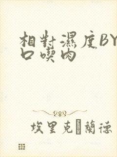 相对湿度BY大口吃肉封面