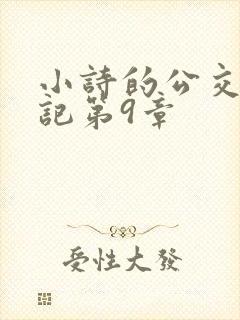 小诗的公交车日记第9章封面