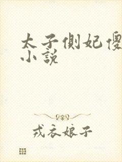 太子侧妃傻乎乎小说