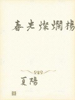春光灿烂杨家将封面