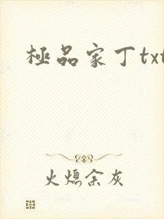 极品家丁txt