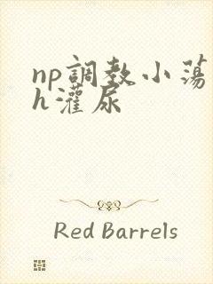 np调教小荡货h灌尿
