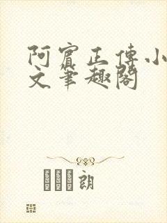 阿宾正传小说全文笔趣阁封面