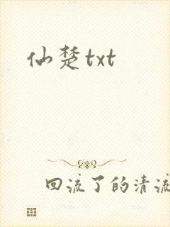 仙楚txt封面