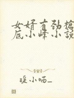 女婿有劲枪枪到底小峰小说