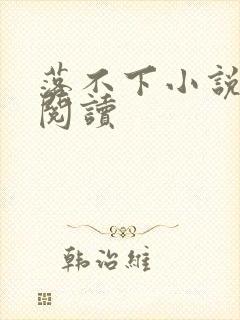 落不下小说免费阅读封面
