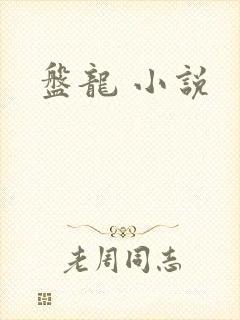 盘龙 小说