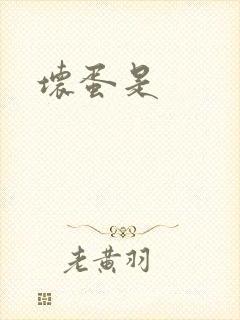 坏蛋是
