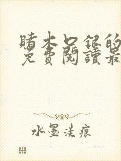 赌木口银的小说免费阅读最新封面