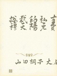 总裁的私有宝贝穆天阳免费封面