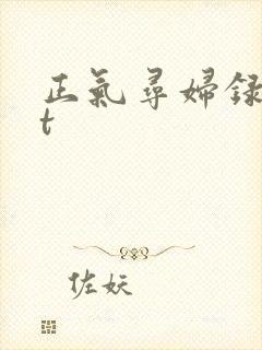 正气寻妇录txt