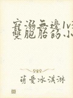 宠溺无边1v3双胞胎的小说