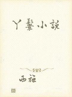 丫鬟小说