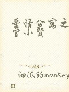 爱情公寓之极品曾小贤