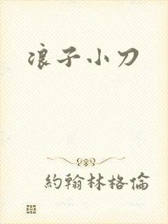 浪子小刀封面