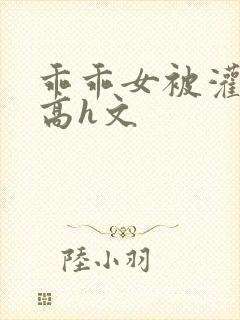 乖乖女被灌满精高h文