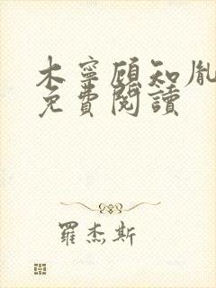 木宁顾知胤小说免费阅读