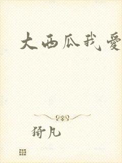 大西瓜我爱你封面
