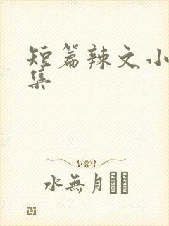 短篇辣文小说合集封面