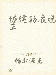 缠绕的夜晚双男主