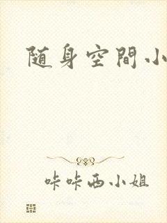 随身空间小说