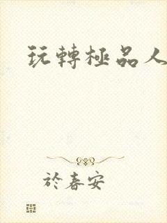 玩转极品人生封面