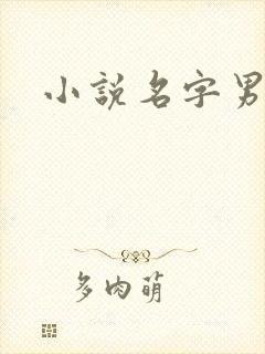 小说名字男生