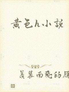 黄色h小说