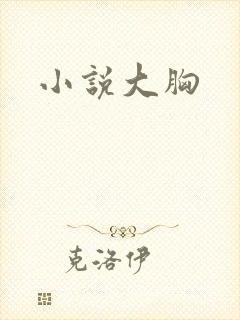 小说大胸