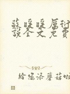 苏暖暖厉衍琛小说全文免费阅读
