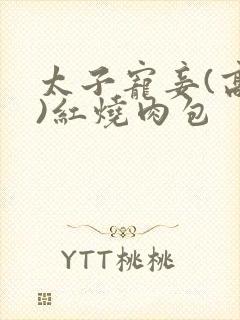 太子宠妾(高肉)红烧肉包