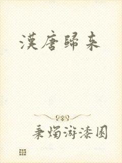 汉唐归来