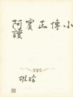 阿宾正传小说在读