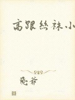 高跟丝袜小说