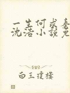 一生何求秦菲雪沈浩小说免费阅读全文封面